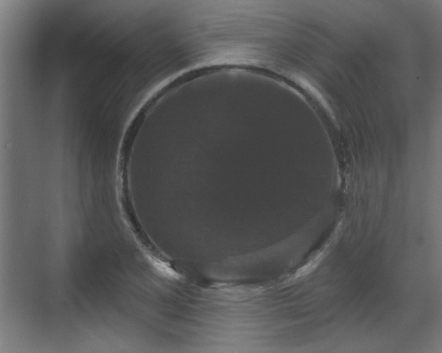 X0000070861077200606191310
