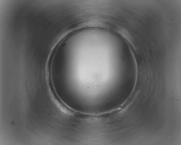 X0000070861082200606191310
