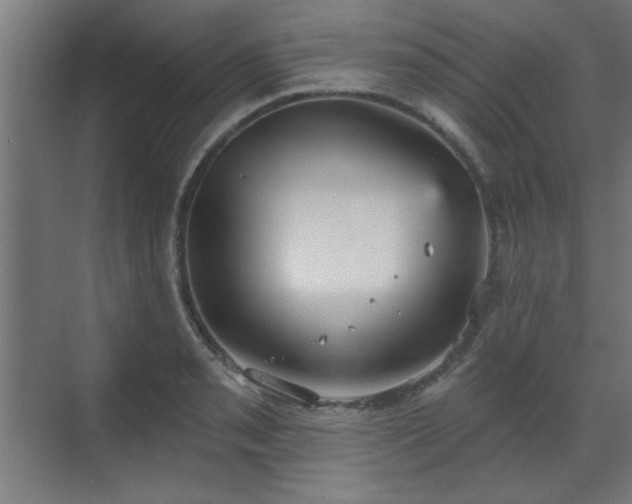 X0000070861085200606191310