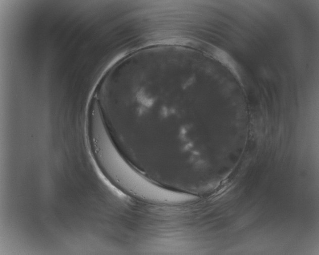 X0000070861095200606191310