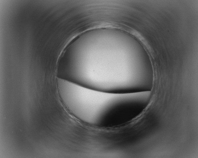 X0000070861097200606191310
