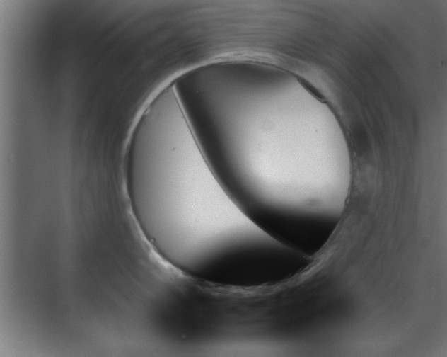 X0000070861102200606191310