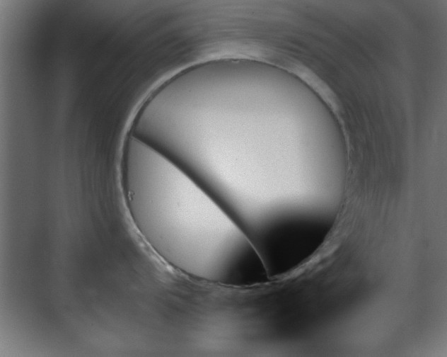X0000070861104200606191310