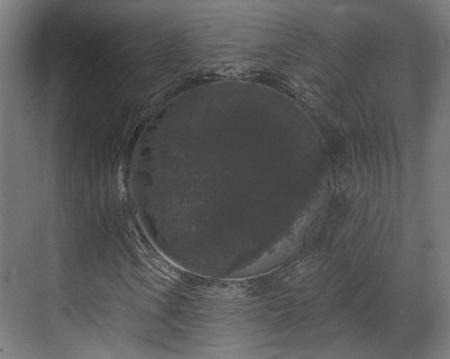 X0000070861106200606191309