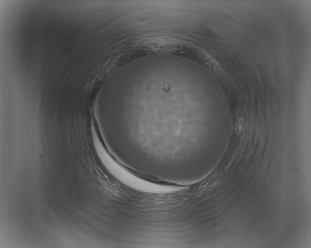 X0000070861108200606191309