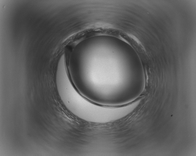 X0000070861112200606191309