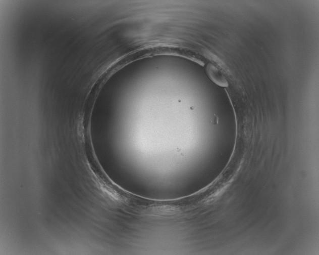X0000070861113200606191309