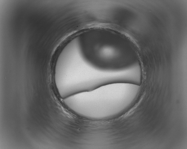 X0000070861117200606191309