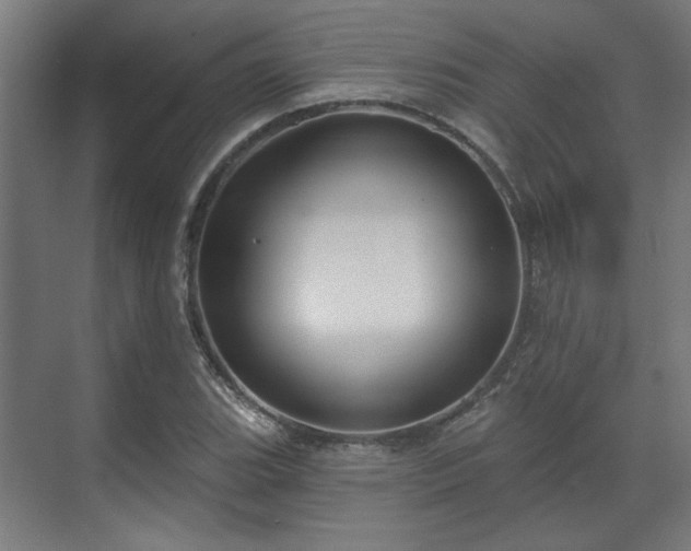 X0000070861119200606191309