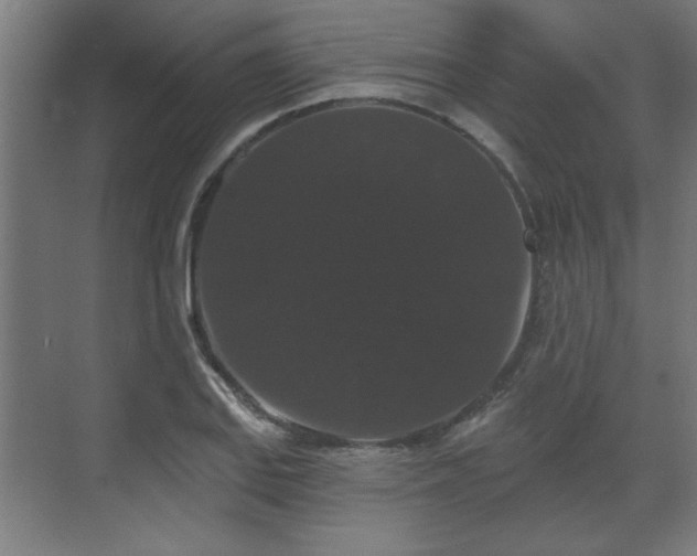 X0000070861127200606191309