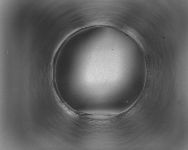 X0000070861140200606191309