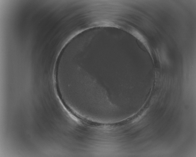 X0000070861141200606191309