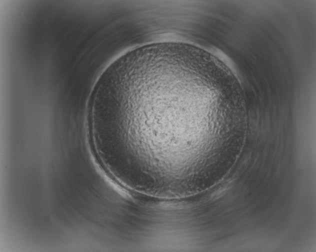 X0000070861142200606191310