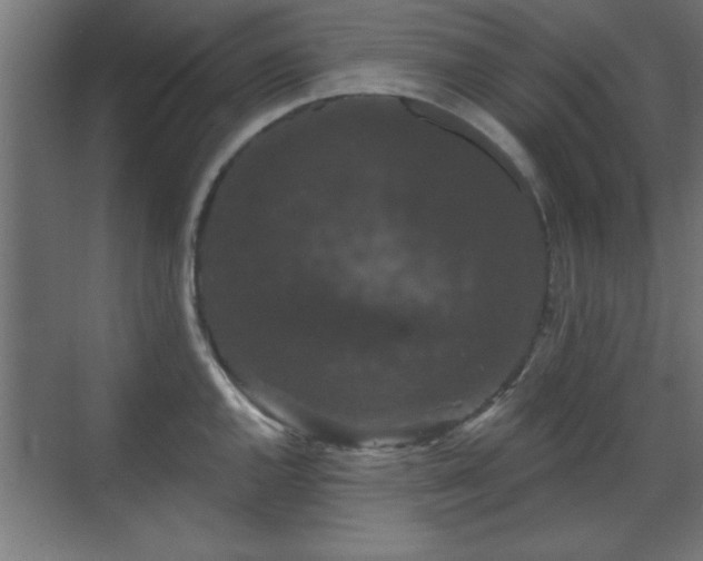 X0000070861144200606191310