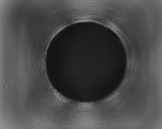 X0000070861145200606191310