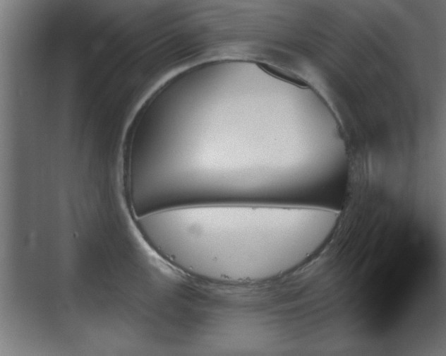 X0000070861147200606191310