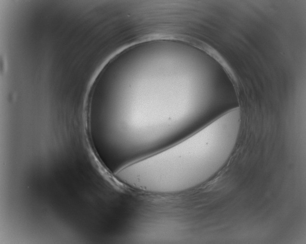 X0000070861148200606191310