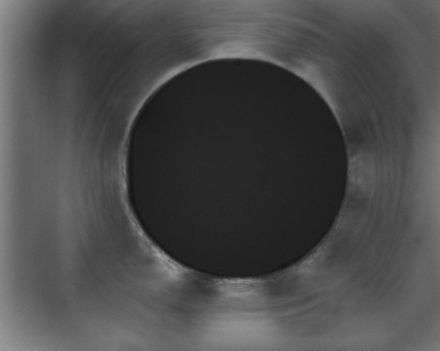 X0000070861150200606191310