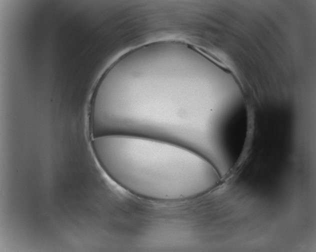 X0000070861151200606191310
