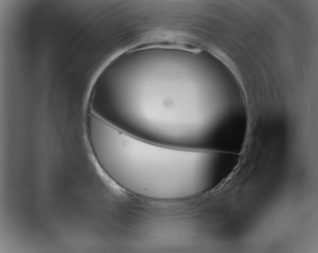 X0000070861152200606191310