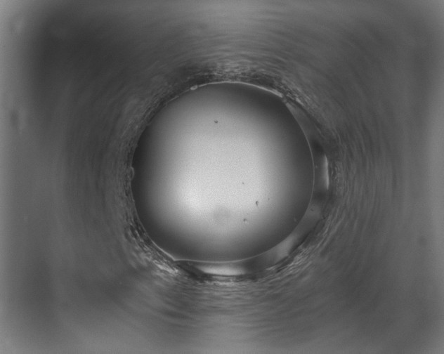 X0000070861153200606191309