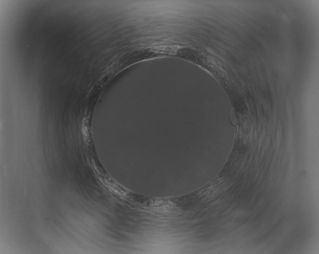 X0000070861154200606191309