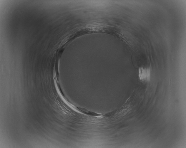 X0000070861155200606191309