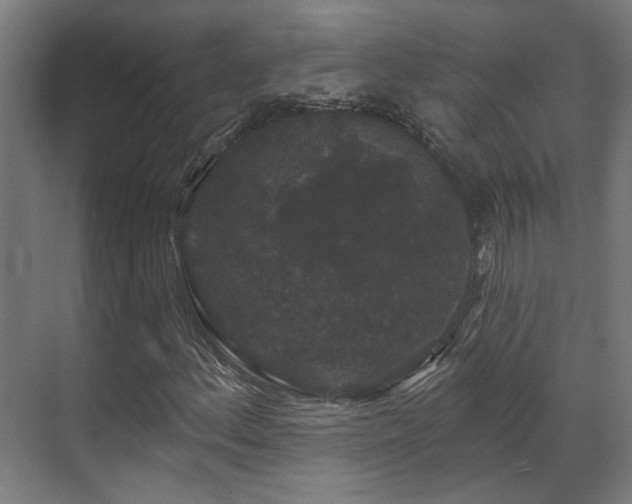 X0000070861156200606191309