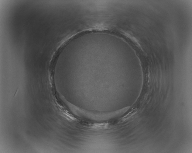 X0000070861160200606191309