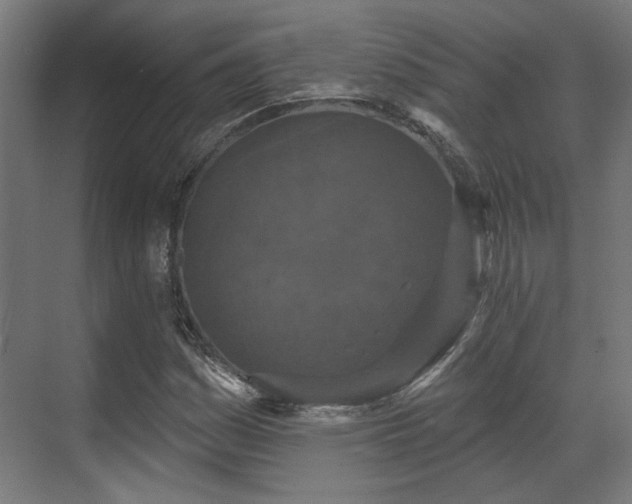 X0000070861161200606191309