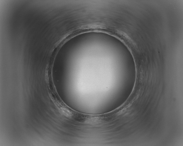 X0000070861162200606191309