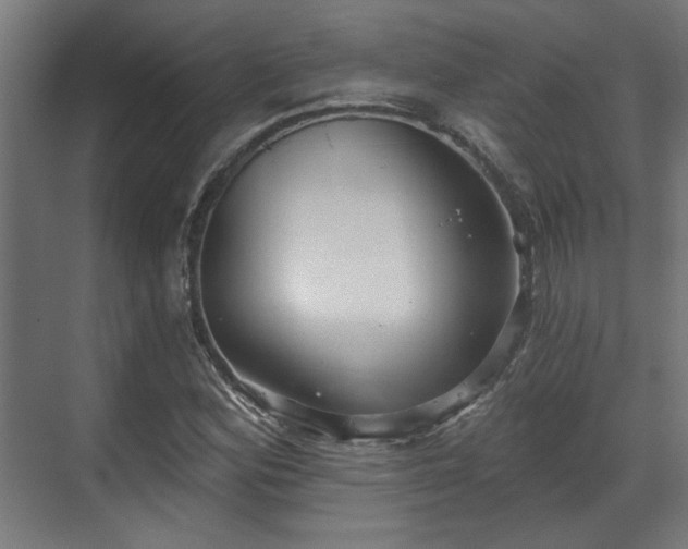 X0000070861164200606191309