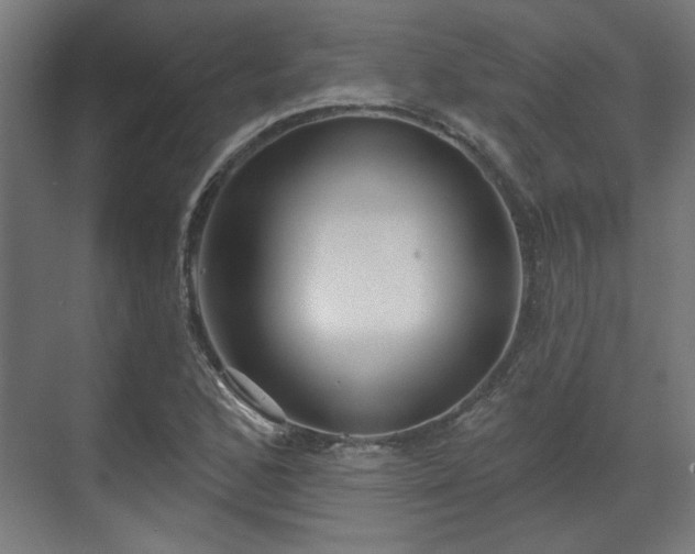 X0000070861168200606191309
