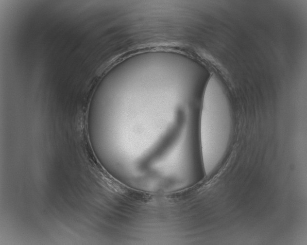 X0000070861169200606191309