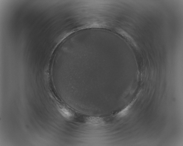 X0000070861170200606191309