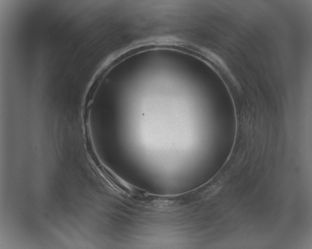 X0000070861176200606191308