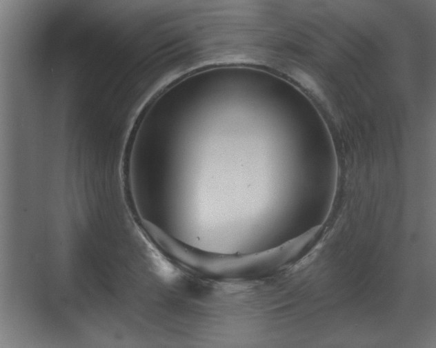 X0000070861181200606191308
