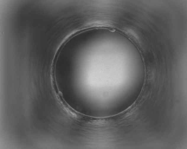 X0000070861182200606191308