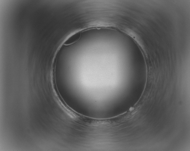 X0000070861187200606191308