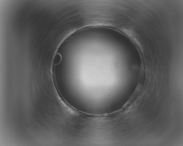 X0000070861189200606191308
