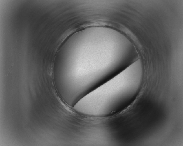X0000070861193200606191308