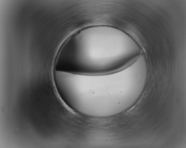 X0000070861197200606191308