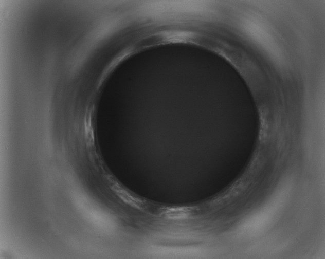 X0000070861198200606191308