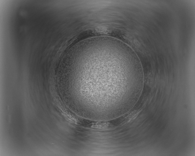 X0000070861201200606191307