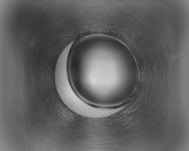X0000070861202200606191307