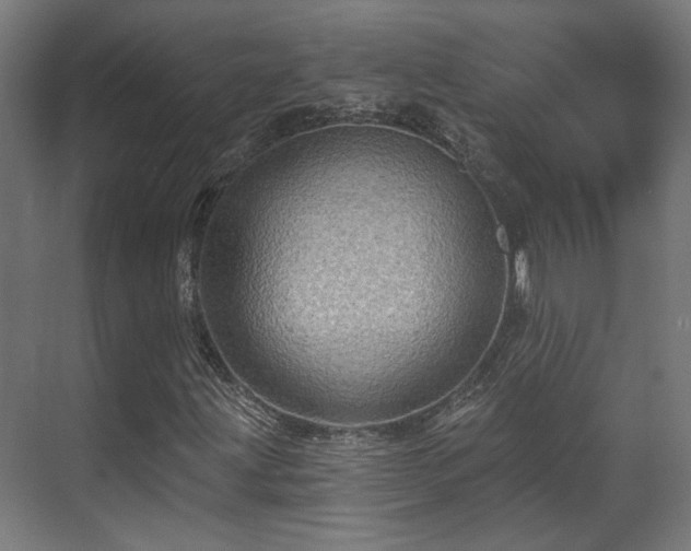 X0000070861203200606191307