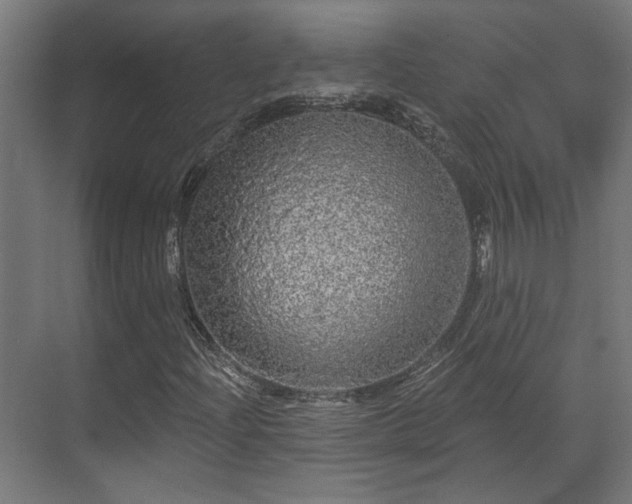 X0000070861204200606191307