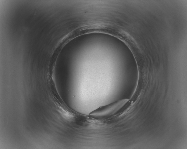 X0000070861210200606191307