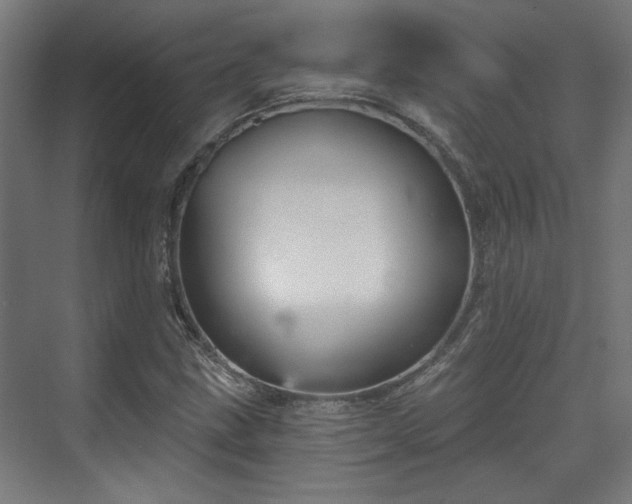 X0000070861211200606191307