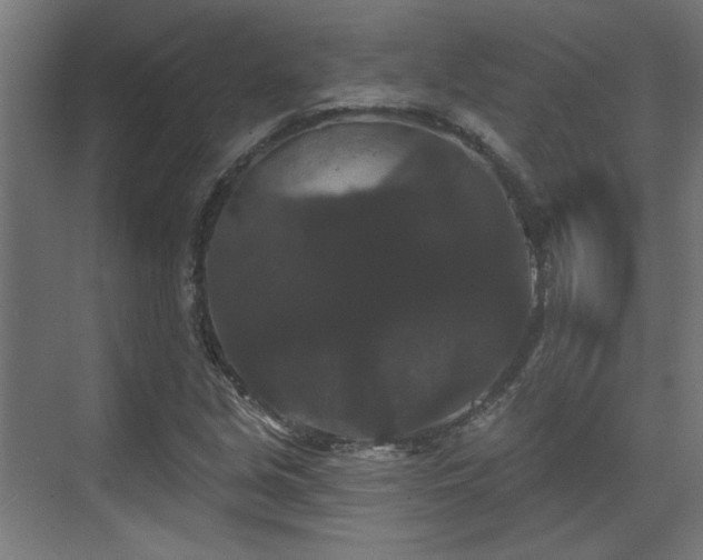 X0000070861213200606191307